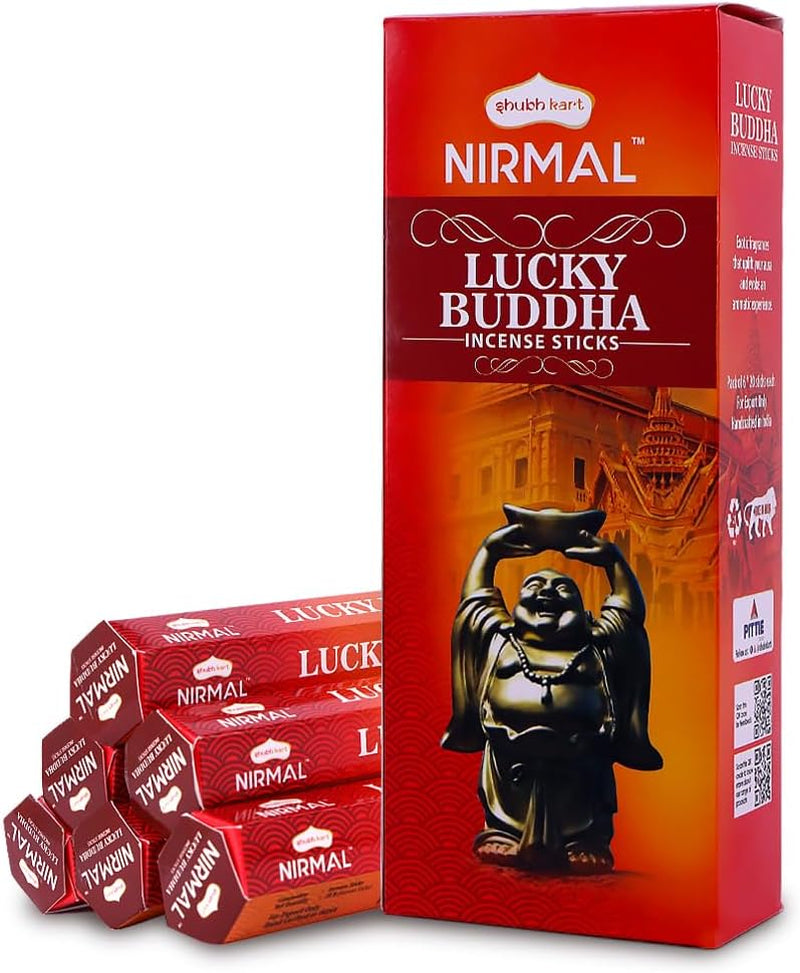 Shubhkart Hexa Aloe Vera Incense Sticks - Set of 6 Packs, 120 Sticks for Relaxation, Stress Relief, and Mindful Meditation | Eco-Friendly and Non-Toxic Aromatic Incense