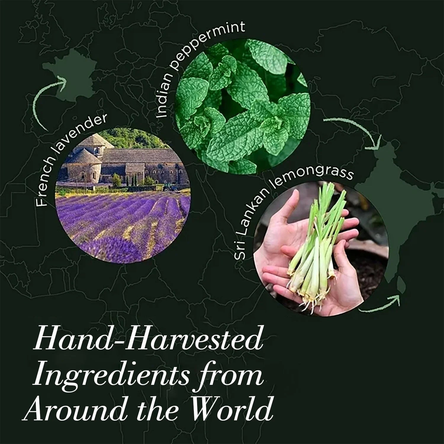 Fimilo Essential Oils Set, Fragrance Oils Gift Set for Diffuser - Peppermint,Lemongrass,Tea Tree,Rosemary,Lavender,Orange Kit (6 X 10ML)